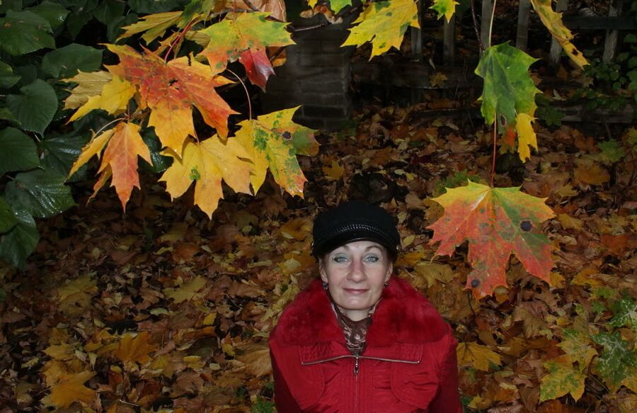 Autumn Album 3