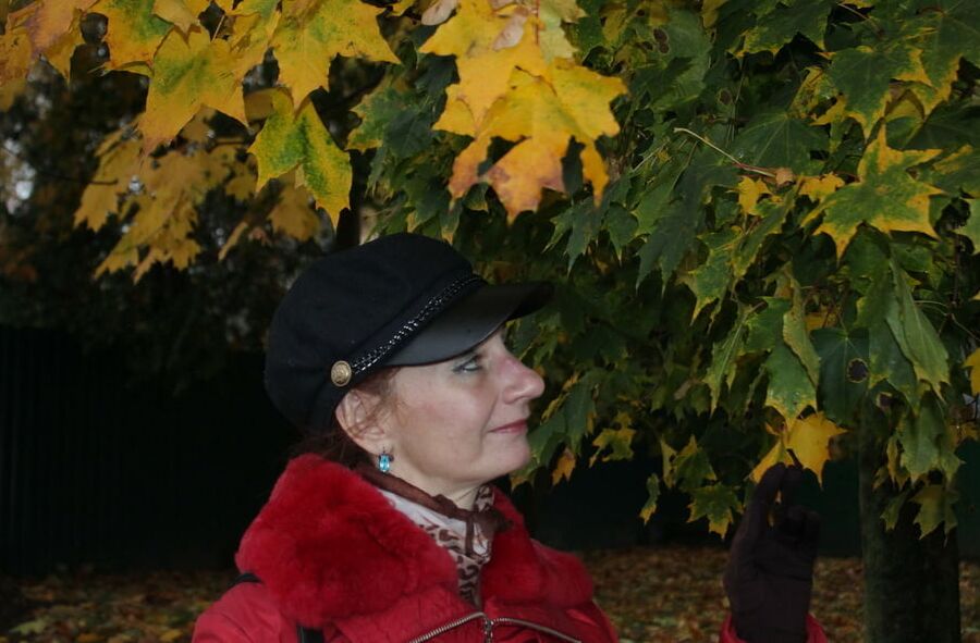 Autumn Album 3