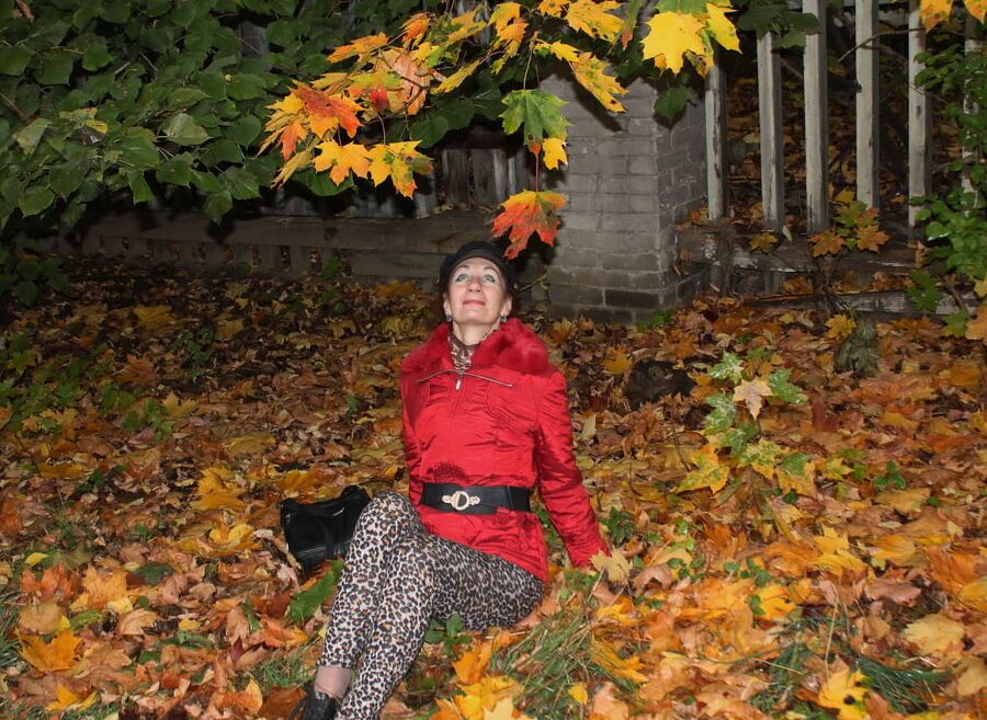 Autumn Album 3