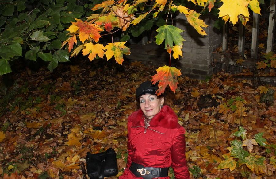 Autumn Album 3