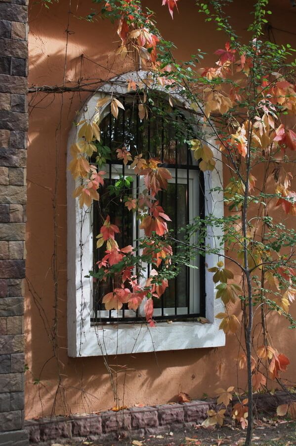 Autumn Story