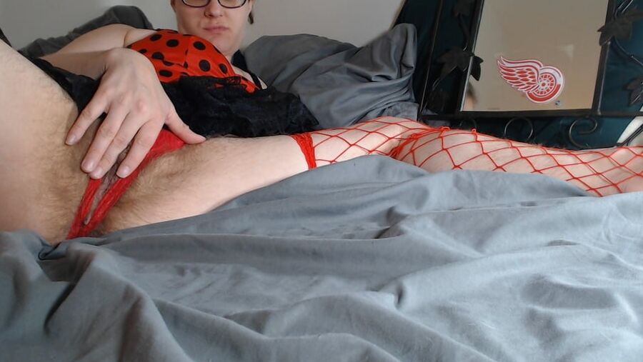 Ladybug