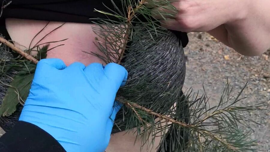 Nettles and other stuff in my bra and slip