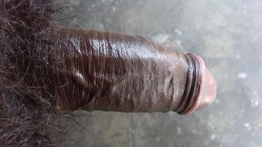 Indian cock gallery