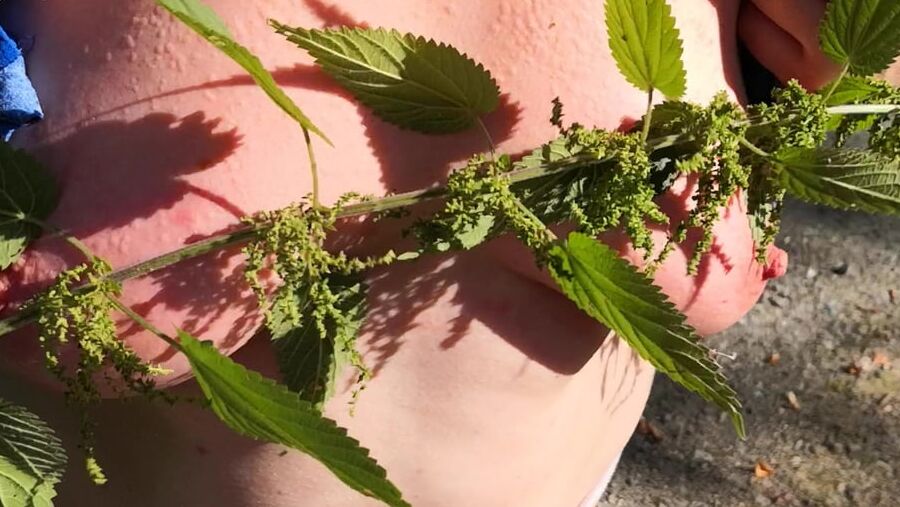 Put some nettles in my bra