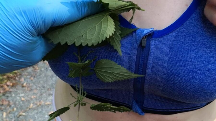 Put some nettles in my bra