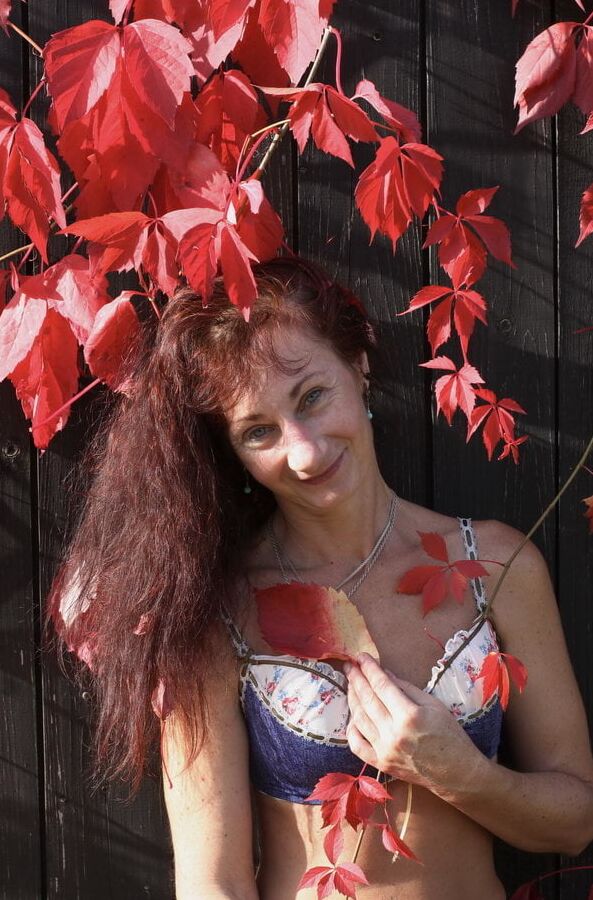 In red leaves