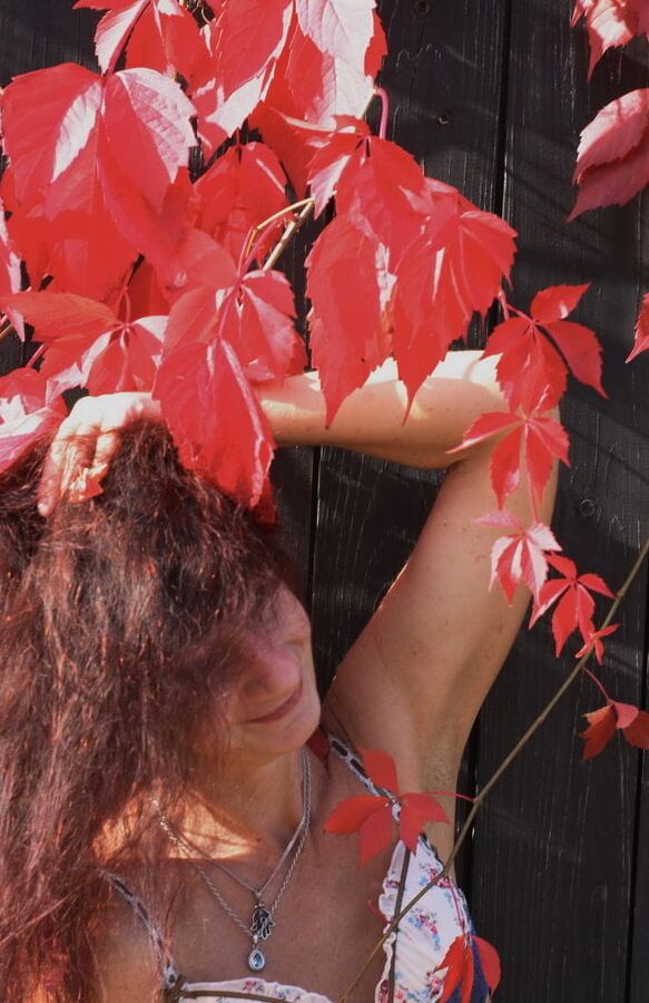 In red leaves
