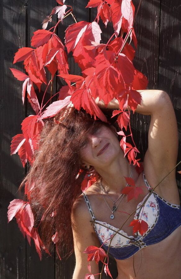 In red leaves