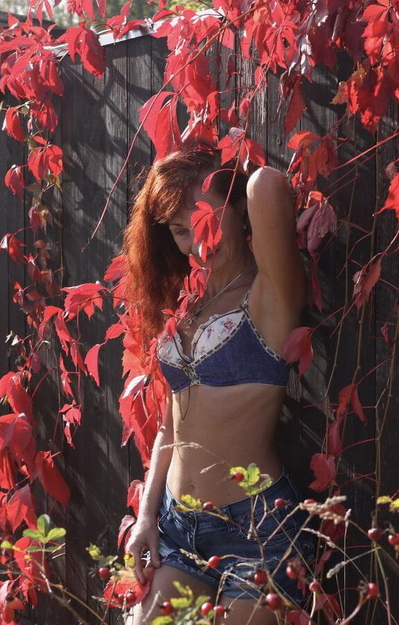 In red leaves