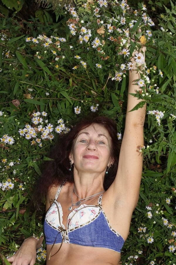 In autumn daisies
