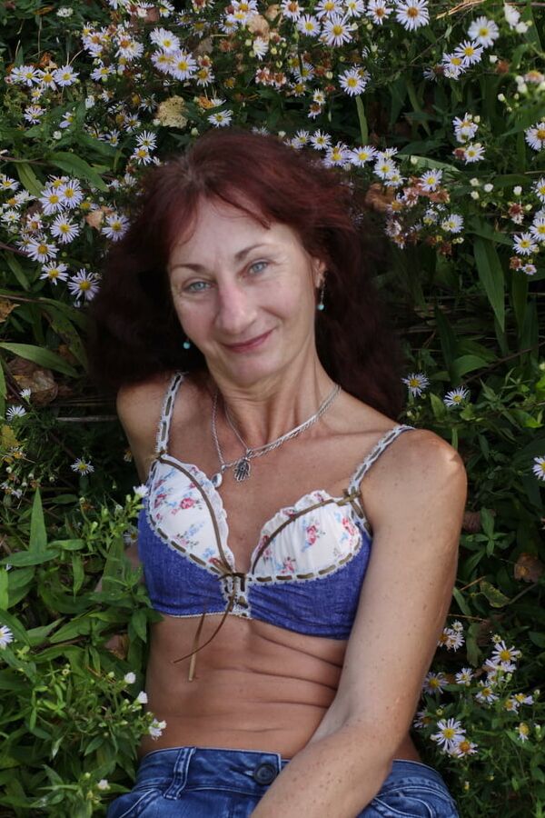 In autumn daisies