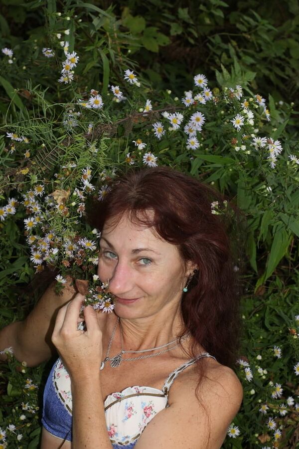 In autumn daisies