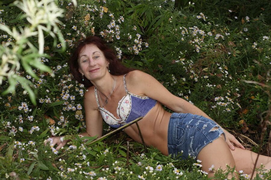 In autumn daisies