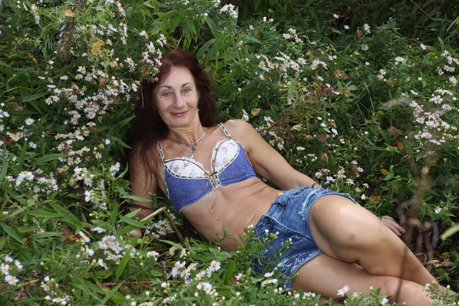 In autumn daisies