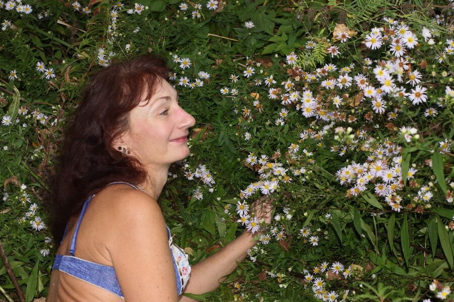 In autumn daisies