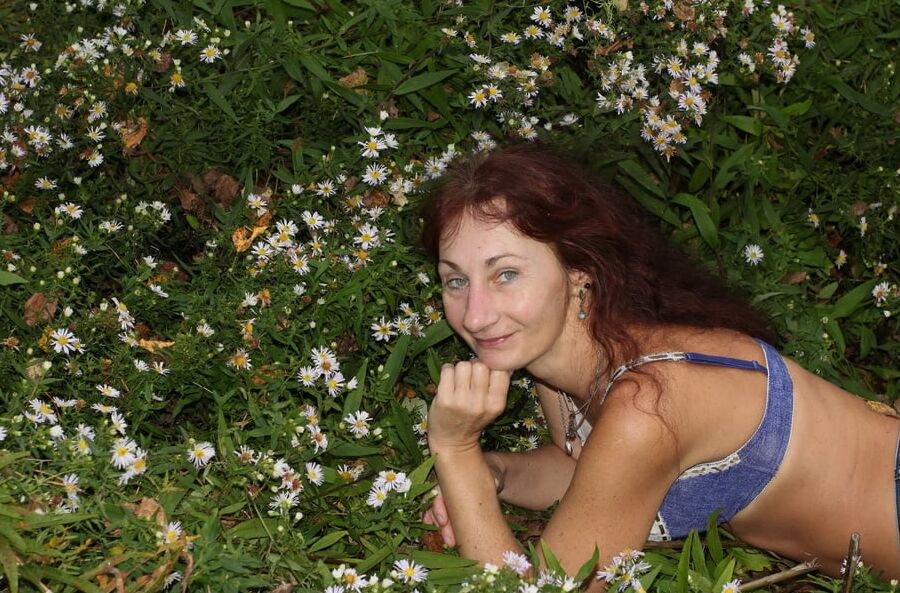 In autumn daisies