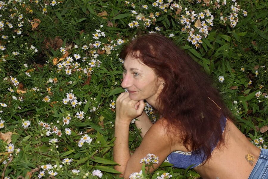 In autumn daisies