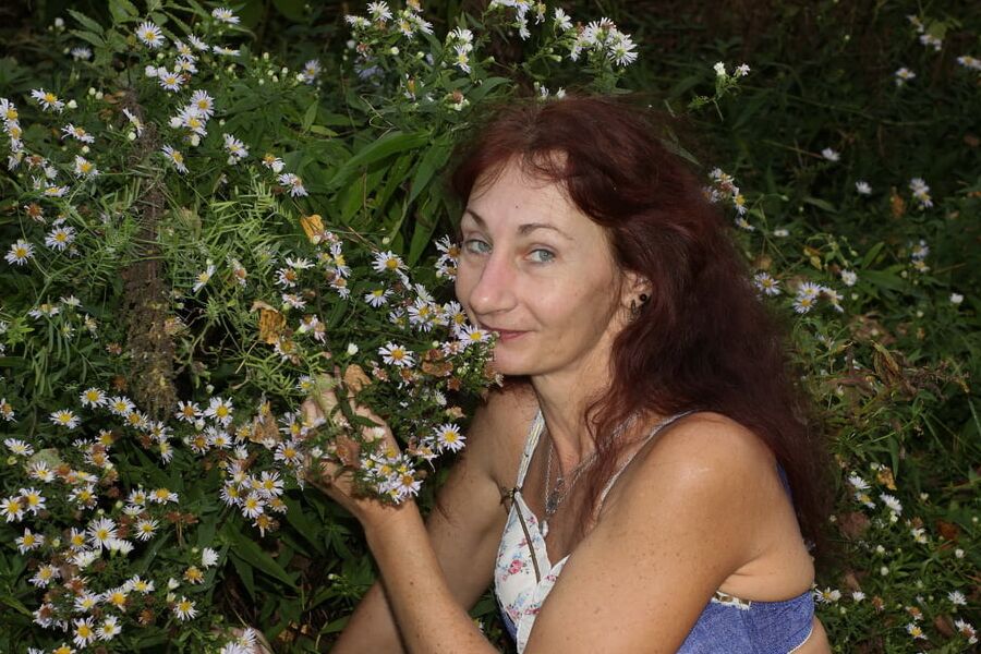 In autumn daisies