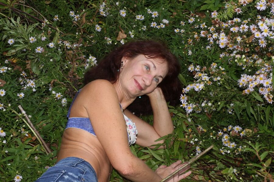 In autumn daisies