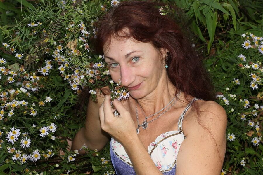 In autumn daisies