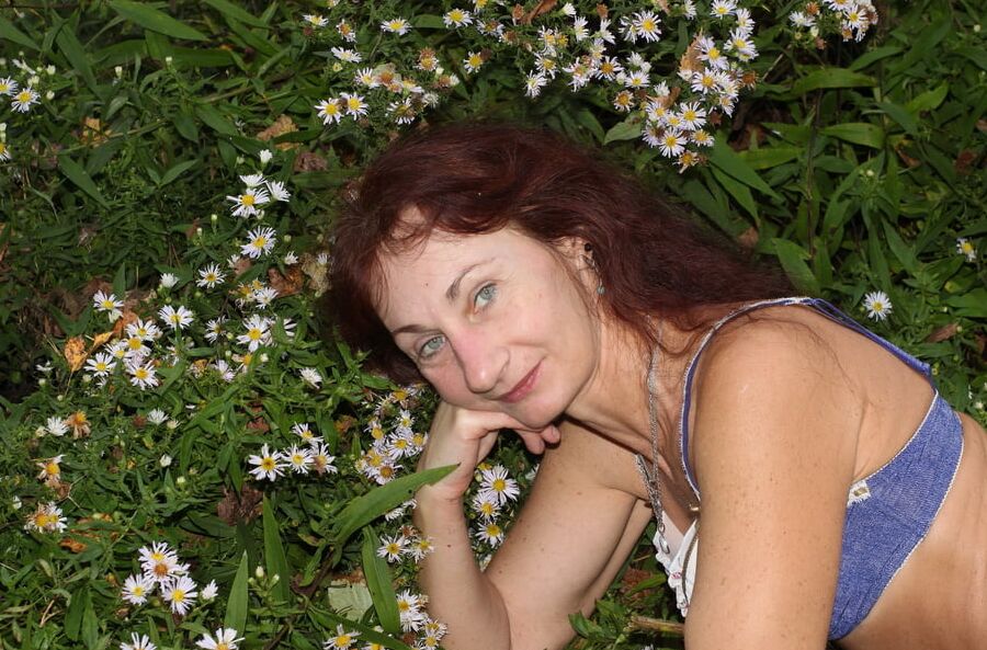 In autumn daisies