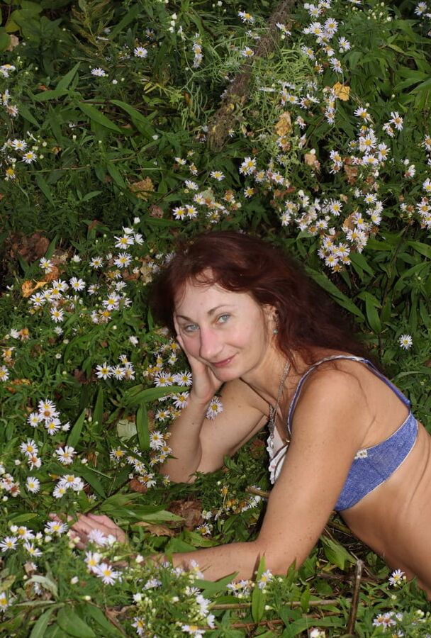 In autumn daisies