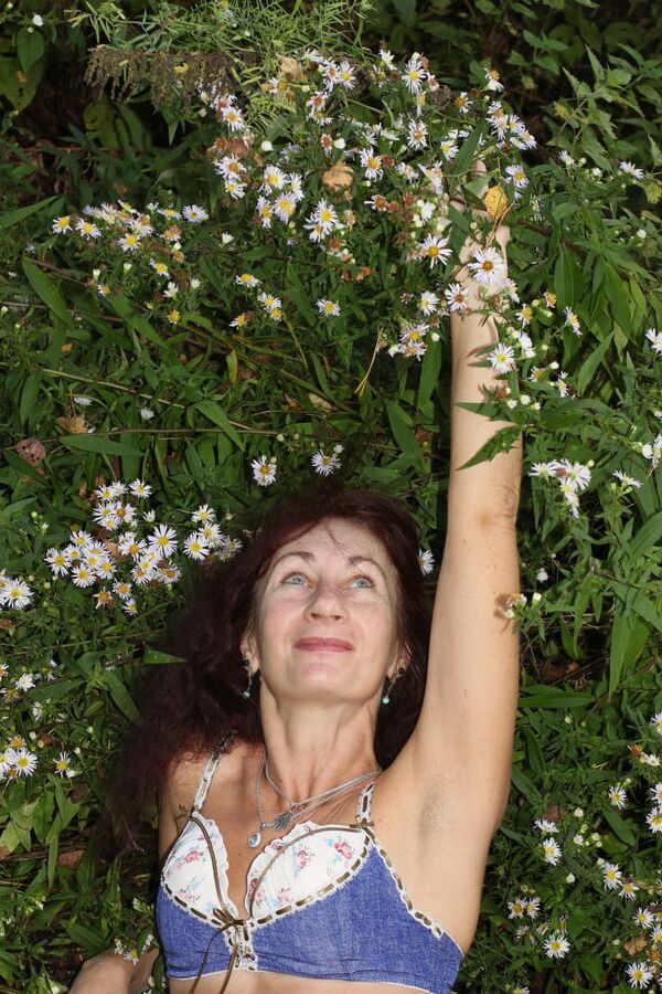 In autumn daisies