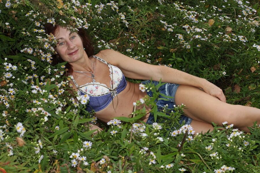 In autumn daisies