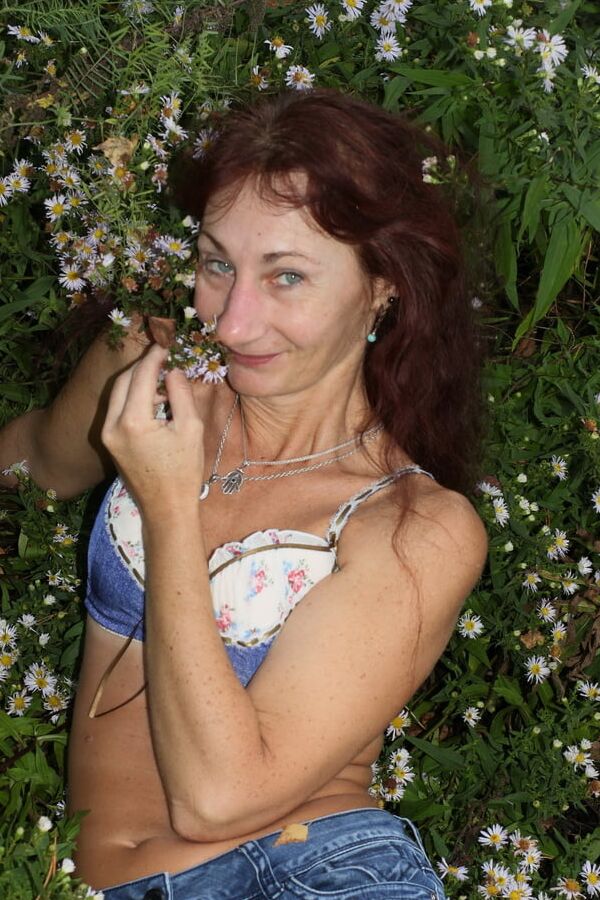 In autumn daisies