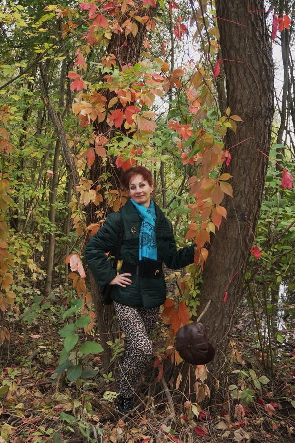 Autumn plot