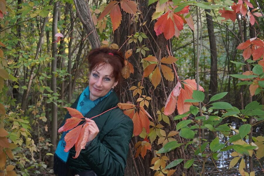 Autumn plot