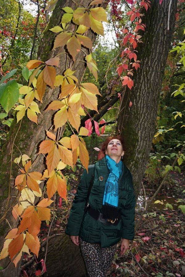 Autumn plot