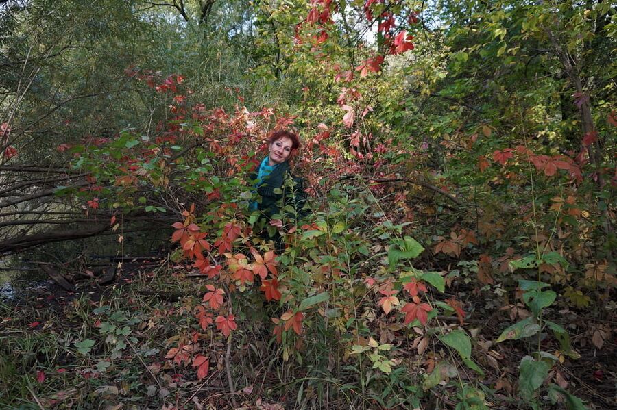 Autumn plot