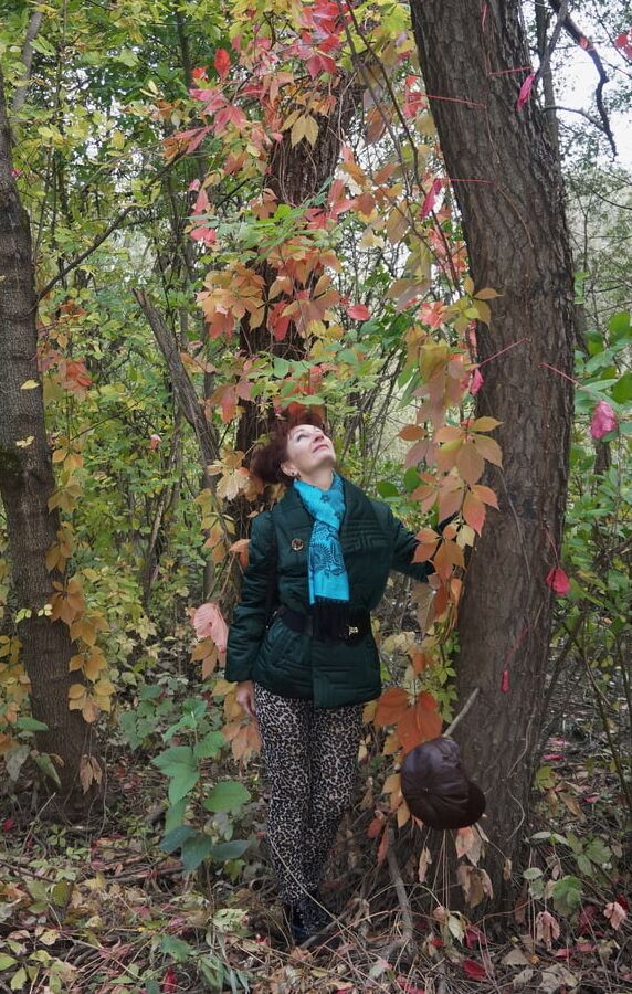 Autumn plot