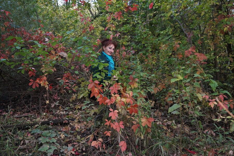 Autumn plot