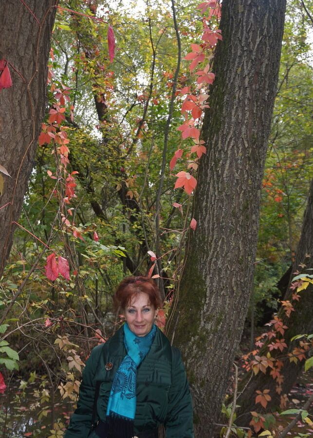 Autumn plot
