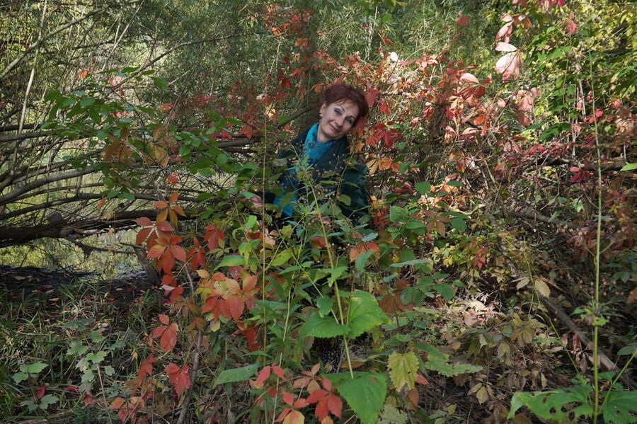 Autumn plot