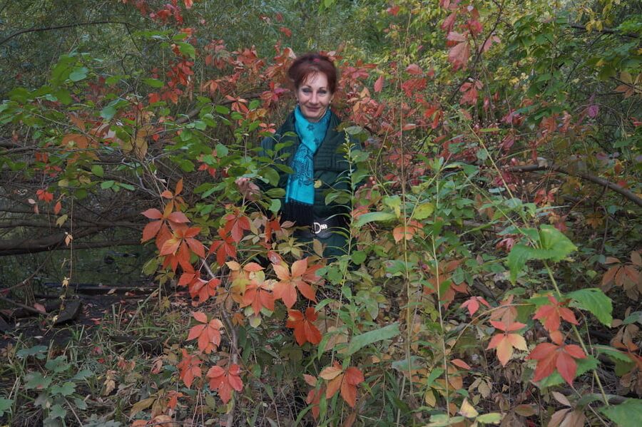 Autumn plot