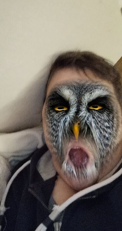 Exotic pics 1.0