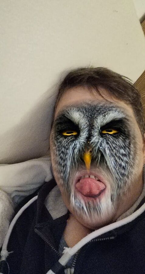 Exotic pics 1.0