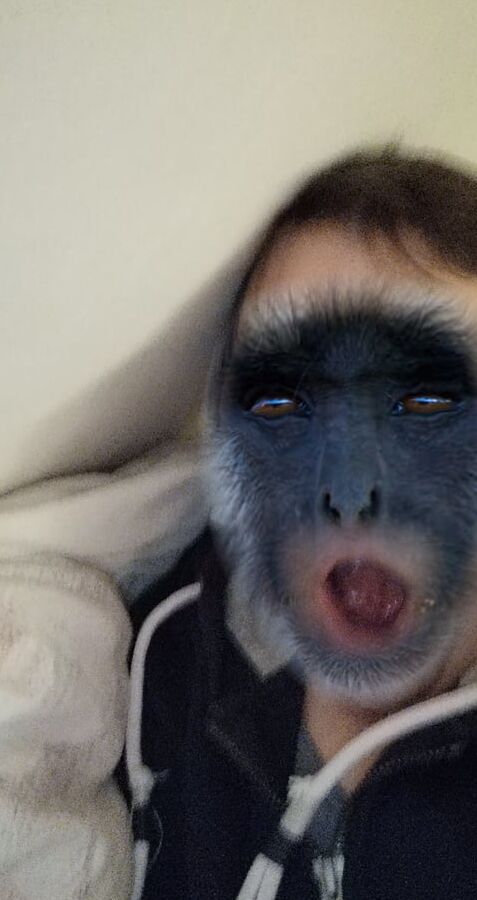 Exotic pics 1.0