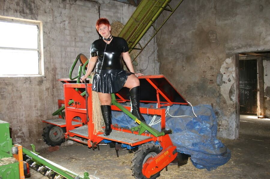 Hot images in the cowshed