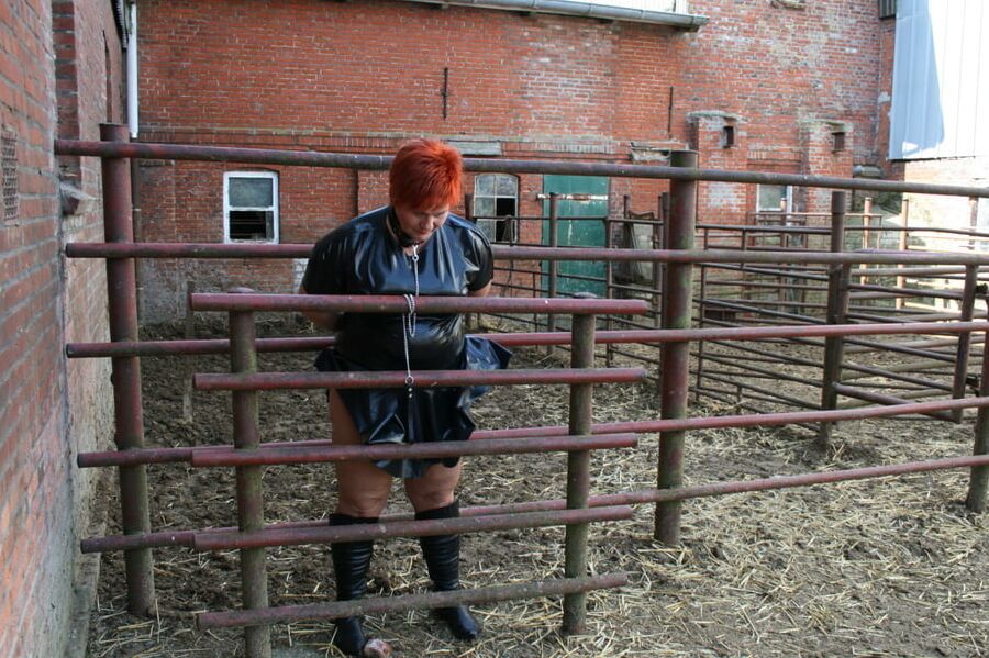 In latex at the cattle gate
