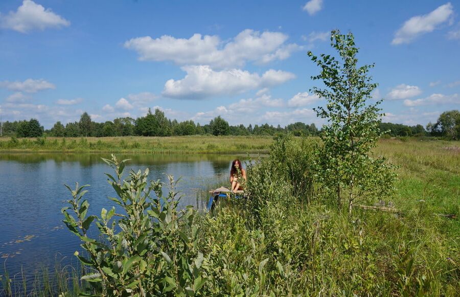 On planket of Koptevo-pond