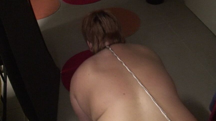 Petplay and ...