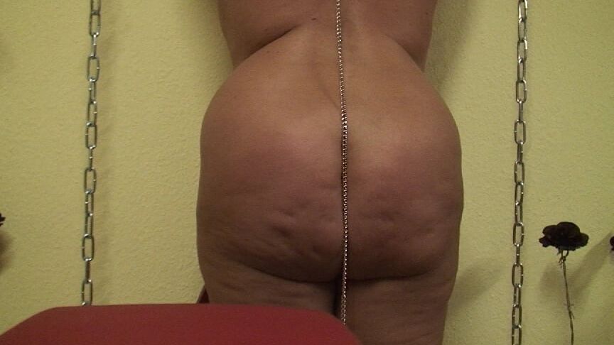 Petplay and ...
