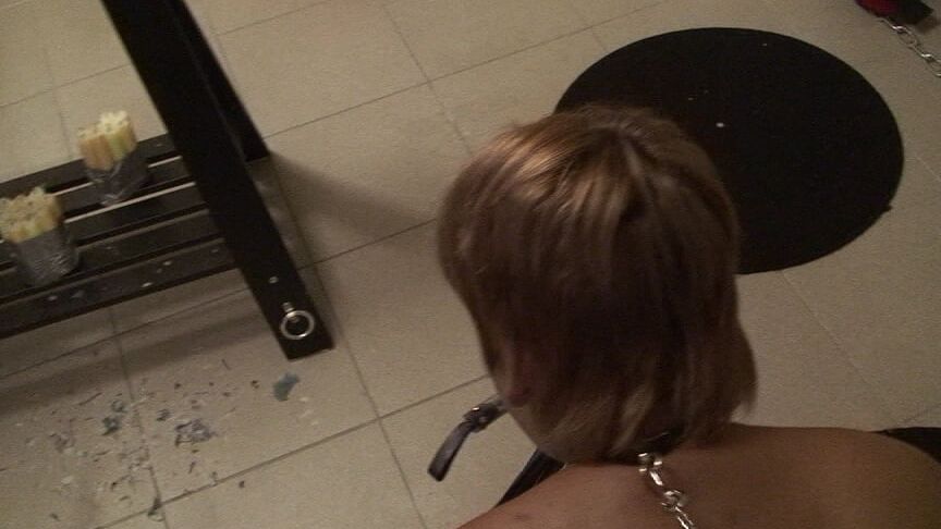 Petplay and ...