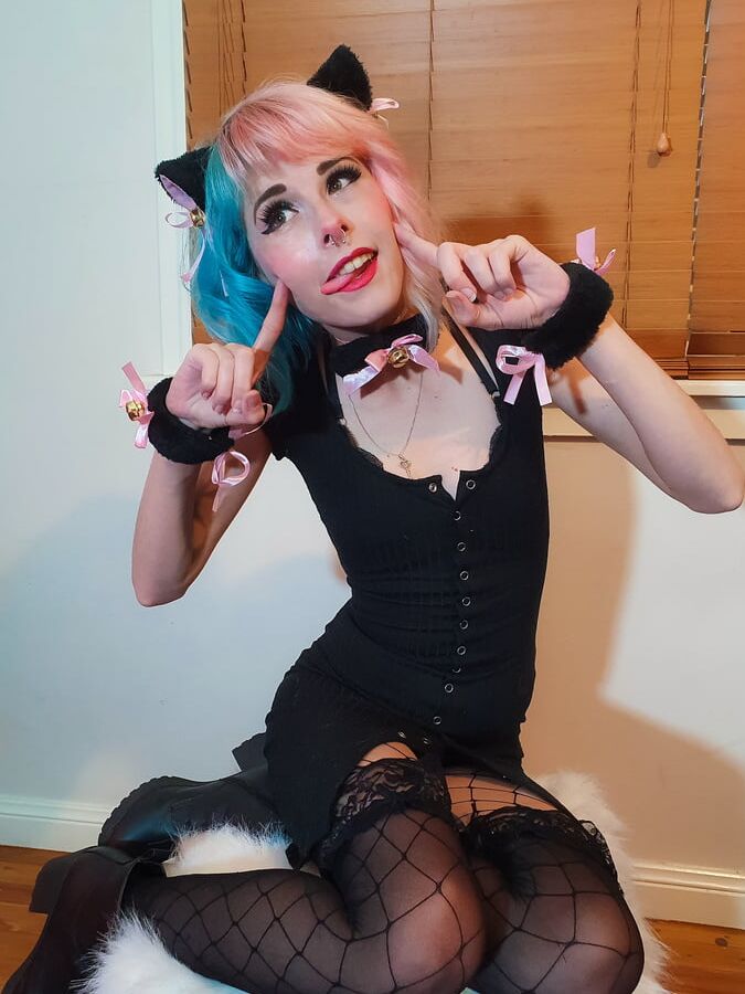 SammySplosion- You're Freaking Meowt
