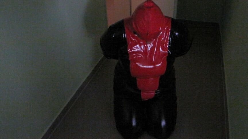 Petplay in latex suit ...